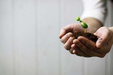 Similar image 13029148