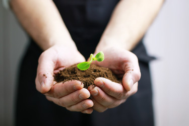 Similar image 13029170