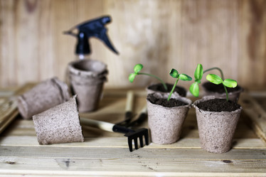 Similar image 13029210