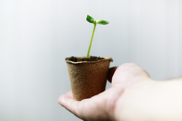 Similar image 13029272