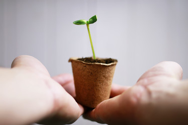 Similar image 13029291