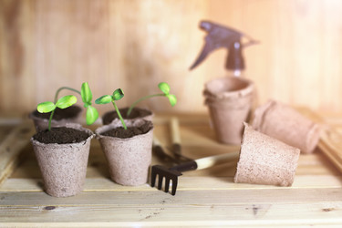 Similar image 13029389