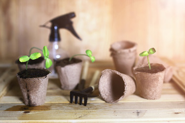 Similar image 13029432