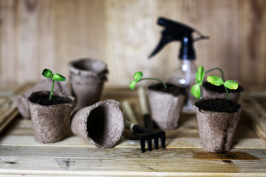 Similar image 13029433