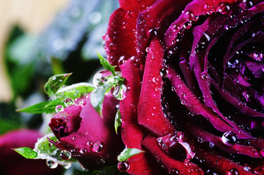 Similar image 13029451