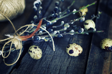 Similar image 13002207