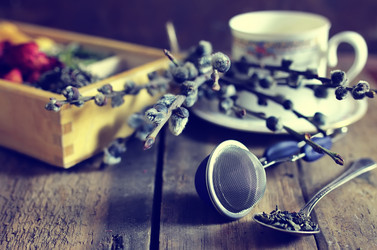 Similar image 13005678