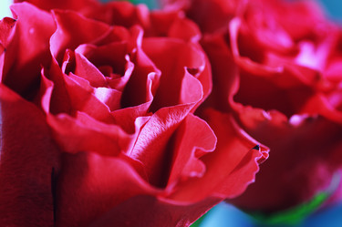 Similar image 13029274