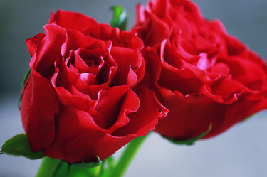 Similar image 13029312