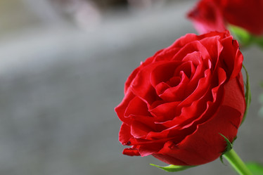 Similar image 13029313