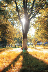 Similar image 13029372