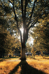 Similar image 13029411