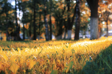 Similar image 13029493