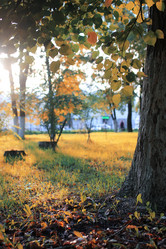 Similar image 13040303