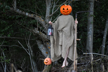 Similar image 13002566