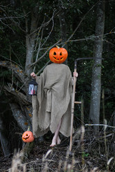 Similar image 13002584