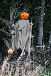 Similar image 13005602