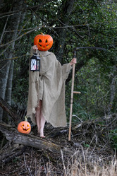 Similar image 13005617