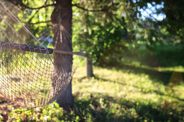 Similar image 13029436