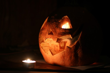 Similar image 13040305