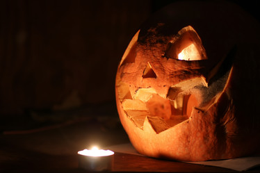 Similar image 13040306