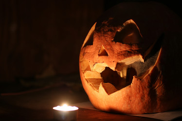 Similar image 13040085