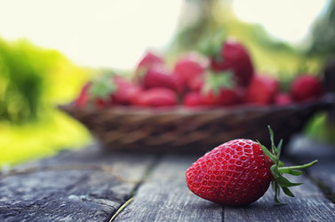 Similar image 13005618