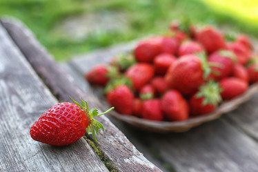 Similar image 13009759