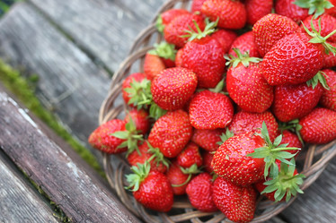 Similar image 13009902