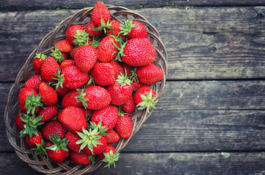 Similar image 13029134