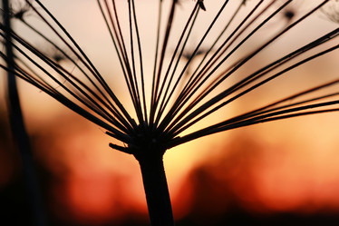 Similar image 13005619