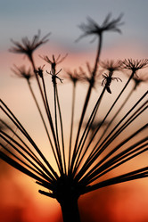 Similar image 13009760