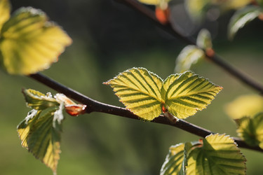 Similar image 13009903