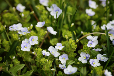 Similar image 13029235