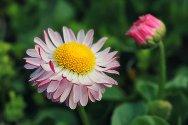 Similar image 13029318