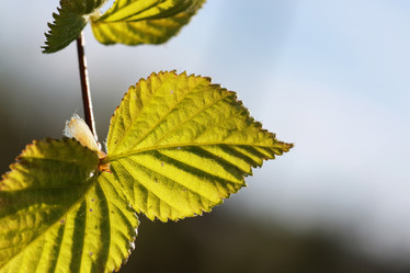 Similar image 13029336