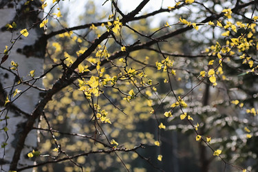 Similar image 13029395