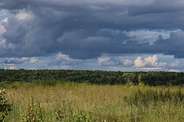 Similar image 13001707