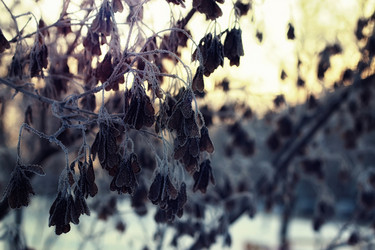 Similar image 13002570