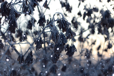 Similar image 13005621