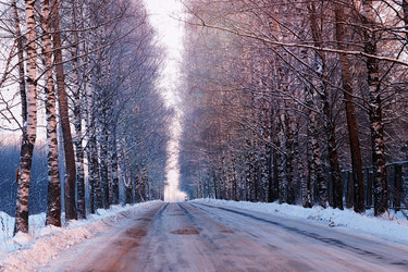 Similar image 13029457