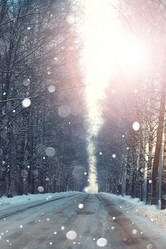 Similar image 13029458