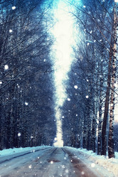 Similar image 13029473