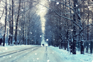 Similar image 13029496