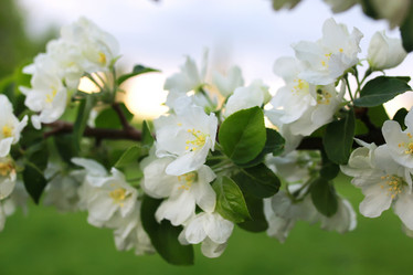 Similar image 13040266