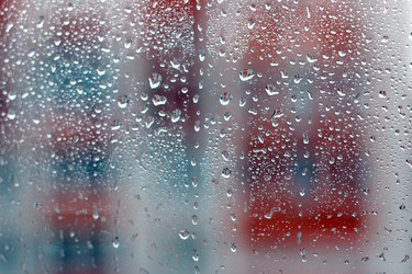 Similar image 13001830