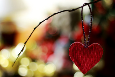 Similar image 13029255