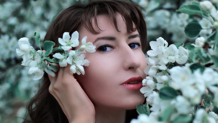 Similar image 13001749