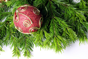 Similar image 13002552