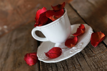 Similar image 13029197